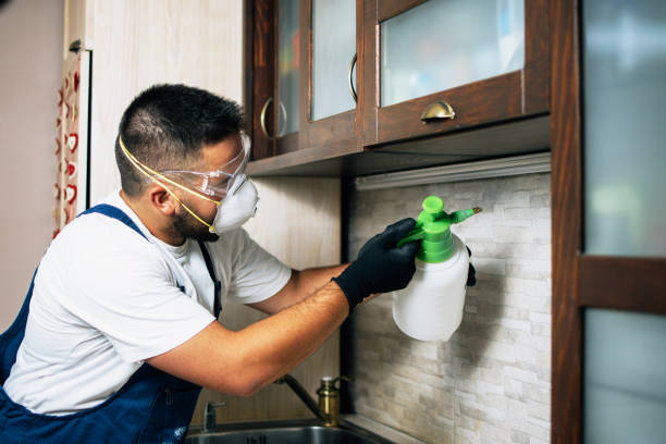 Best Mosquito Control Services  in Chestnut Ridge, NY