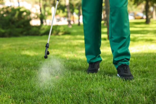 Best Flea Control Services  in Chestnut Ridge, NY