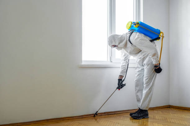 Best Bed Bug Extermination  in Chestnut Ridge, NY