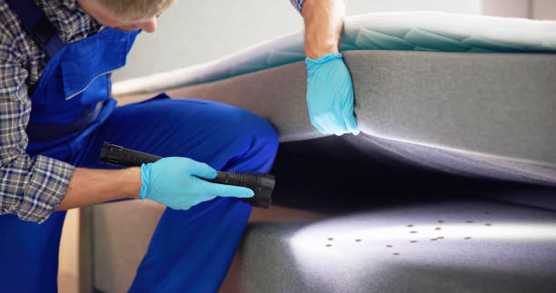 Best Ant Control Services  in Chestnut Ridge, NY
