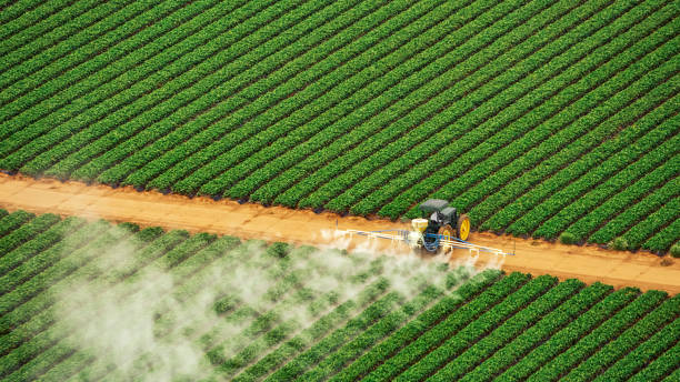 Best Termite Control Services  in Chestnut Ridge, NY