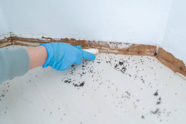Best Commercial Pest Control Services  in Chestnut Ridge, NY