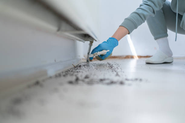 Best Affordable Pest Control Services  in Chestnut Ridge, NY