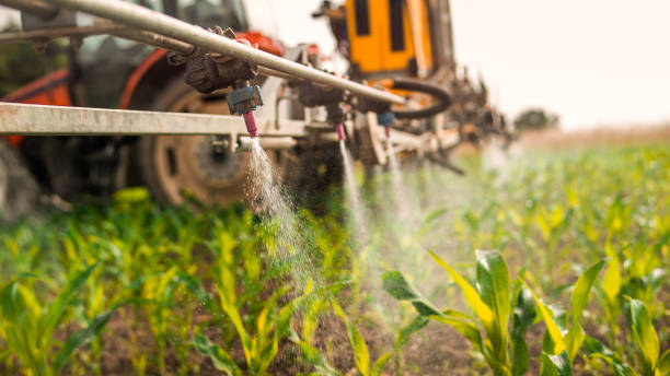 Best Ant Control Services  in Chestnut Ridge, NY
