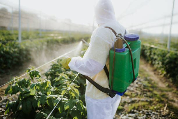 Best Pest Prevention Services  in Chestnut Ridge, NY